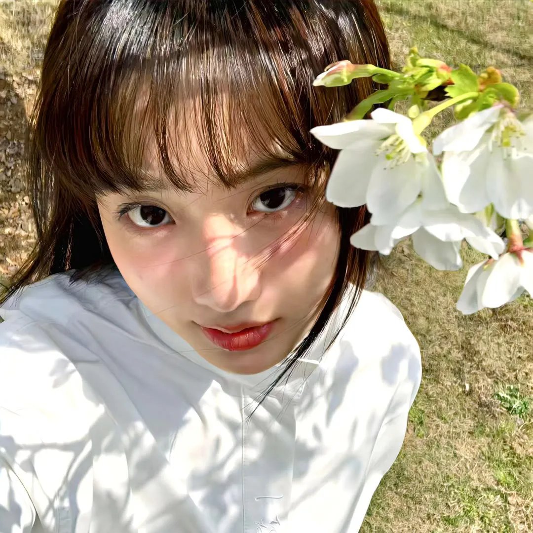 3月的狮子 后篇在线观看